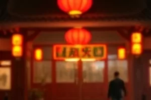 巷口第九盏路灯下的独行人封面